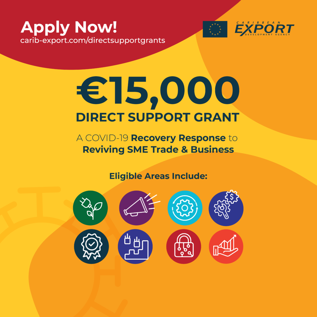 Direct Support Grants Programme