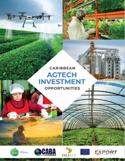 Opportunités d’investissement AgTech dans les Caraïbes