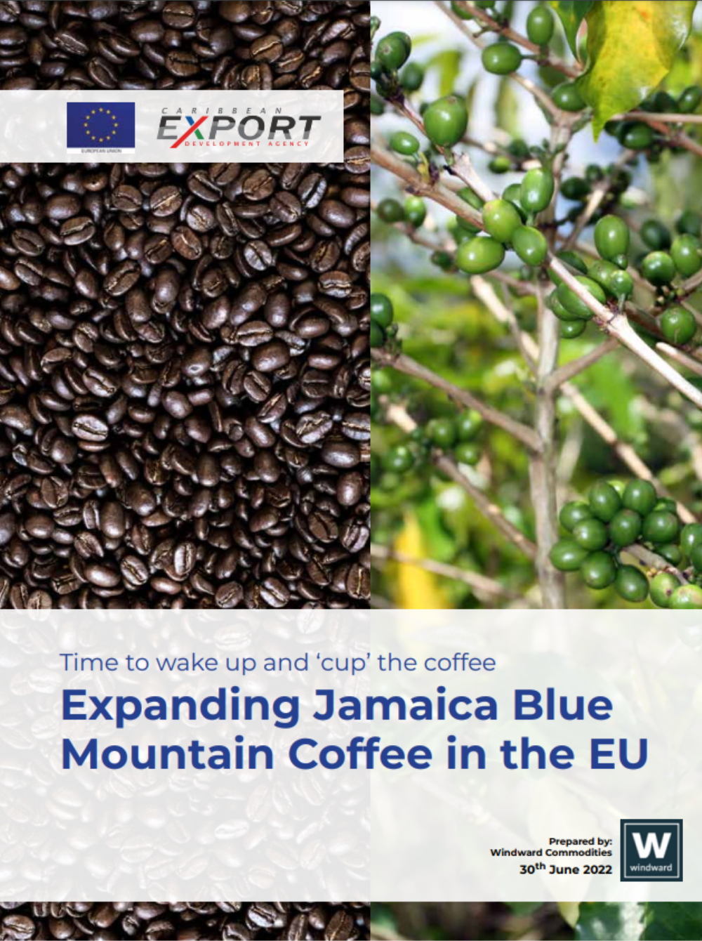 Uitbreiding van Jamaica Blue Mountain-koffie in de EU