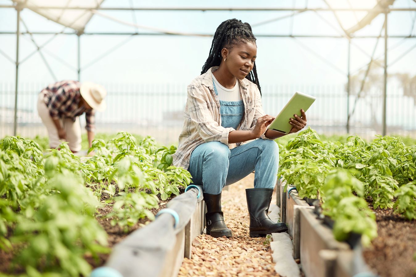 Cómo los consumidores están impulsando el avance hacia procesos de agricultura sostenible