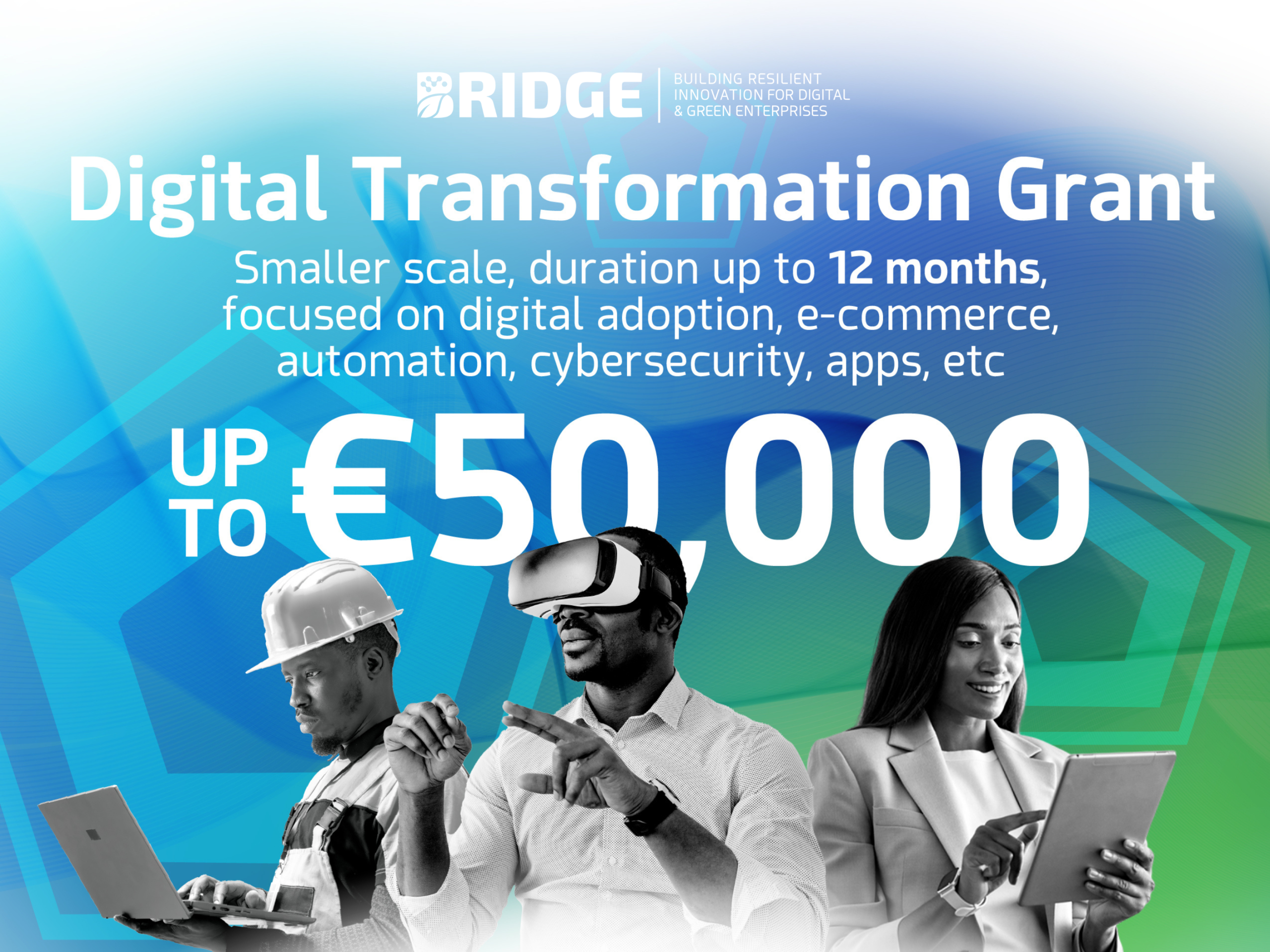 Digital Transformation- Building Resilient Innovation for Digital & Green Enterprises (BRIDGE)